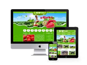 绿色水果蔬菜类织梦模板(带手机端)+PC+移动端+利于SEO优化