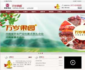 织梦红枣干果等食品类公司企业产品展示网站模板dede58商业模板下载